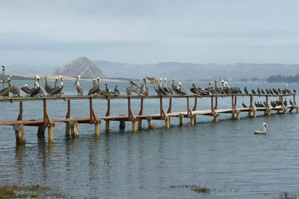 Harbor House In Morro Bay